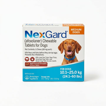 NexGard chewable tablets 10-25kg - SeePet Animal care (pvt) ltd Pet Food Sri Lanka | PetFood4U