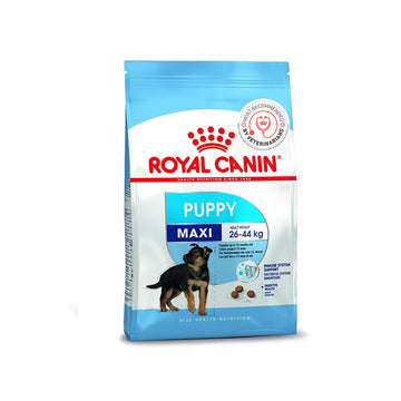 Royal canin Bulldog junior 3kg - Nutri Veto Pet Food Sri Lanka | PetFood4U