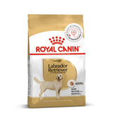 Royal canin Labrador adult - View 1 | Pet food Sri Lanka