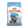 Royal canin Maxi starter M & B - PetFood4U Sri Lanka