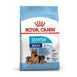 Royal canin Maxi starter M & B - View 1 | Pet food Sri Lanka